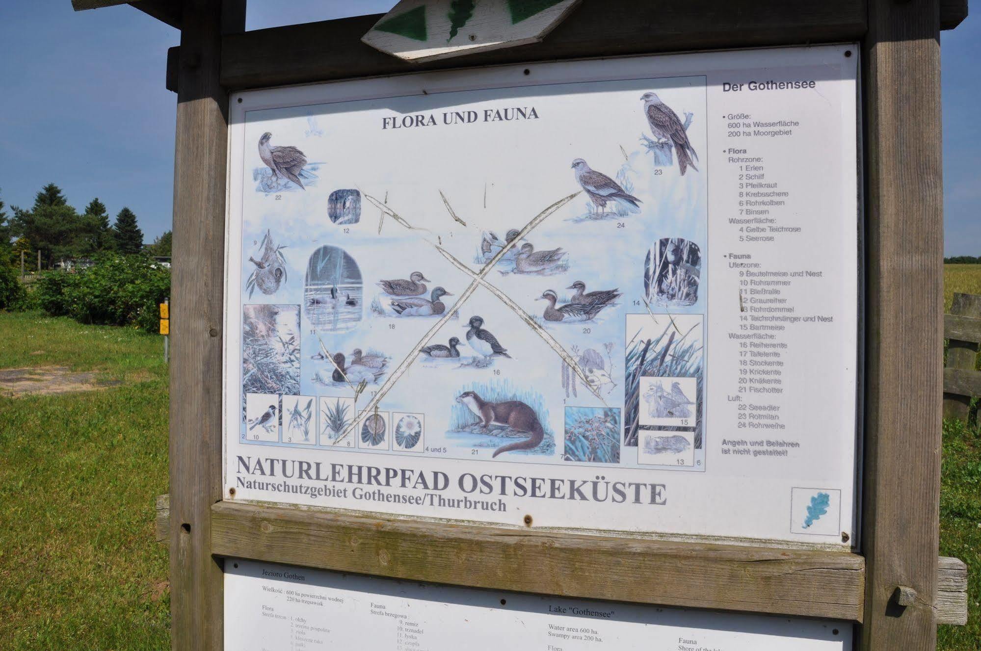 Hotel Am Gothensee Heringsdorf  Eksteriør bilde