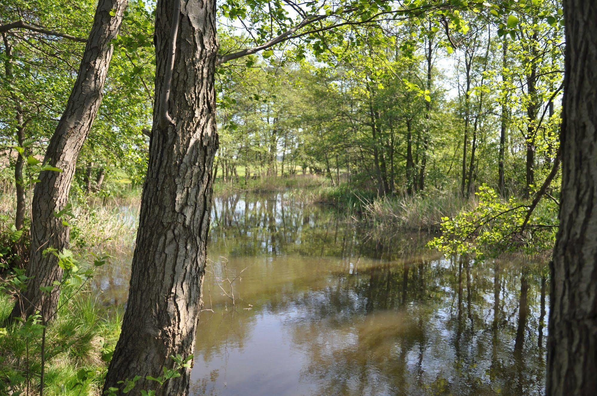 Hotel Am Gothensee Heringsdorf  Eksteriør bilde